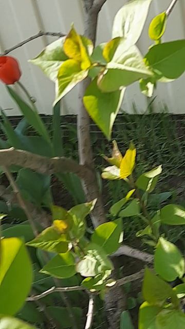 Ищу компанию!