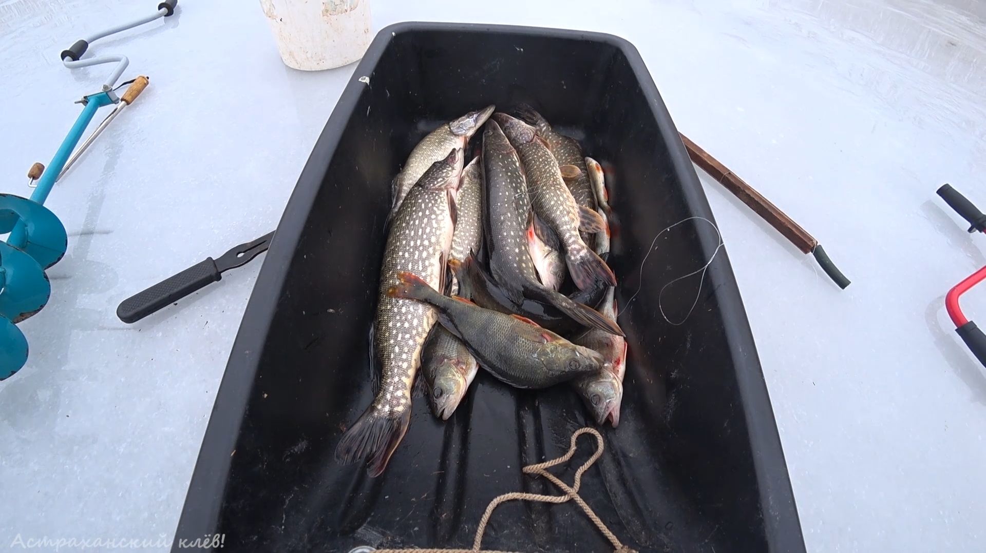 Ловля ЩУКИ на жерлицы зимой! ПОСЛЕДНИЙ ДЕНЬ ЗИМЫ! Зимняя рыбалка!