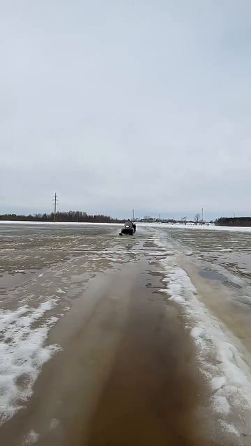 Тайга едет по воде.