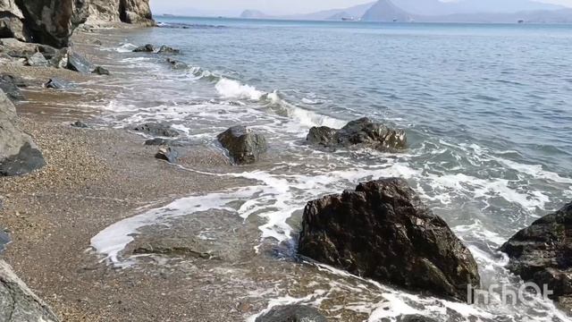 Японское морюшко. 12.04.2026