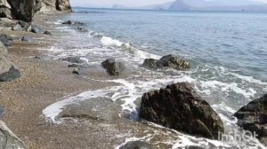 Японское морюшко. 12.04.2026