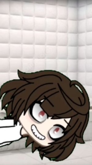 13396989643313