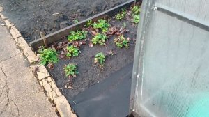 Авария,машины нет,но мы стараемся,переехали в сад