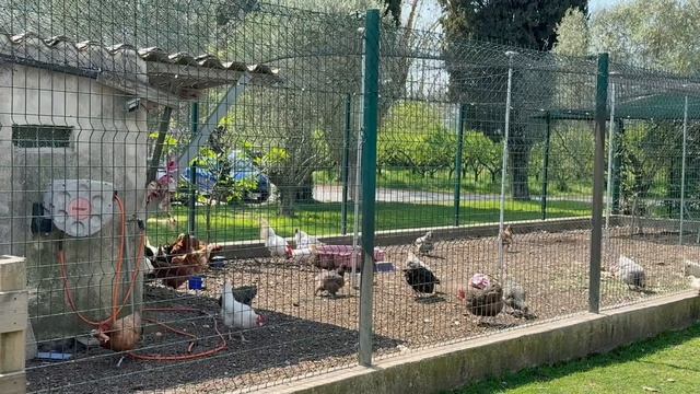 Мини-ферма и другие зеленые островки Лазурного берега