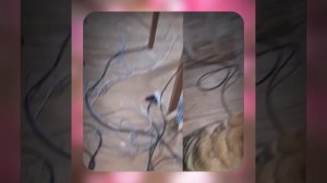 1000056004.mp4 (Собака наблюдает за устройством лестницы на 2-ой этаж в доме А-фрейм)