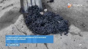 В Клину проводят сезонную опиловку деревьев