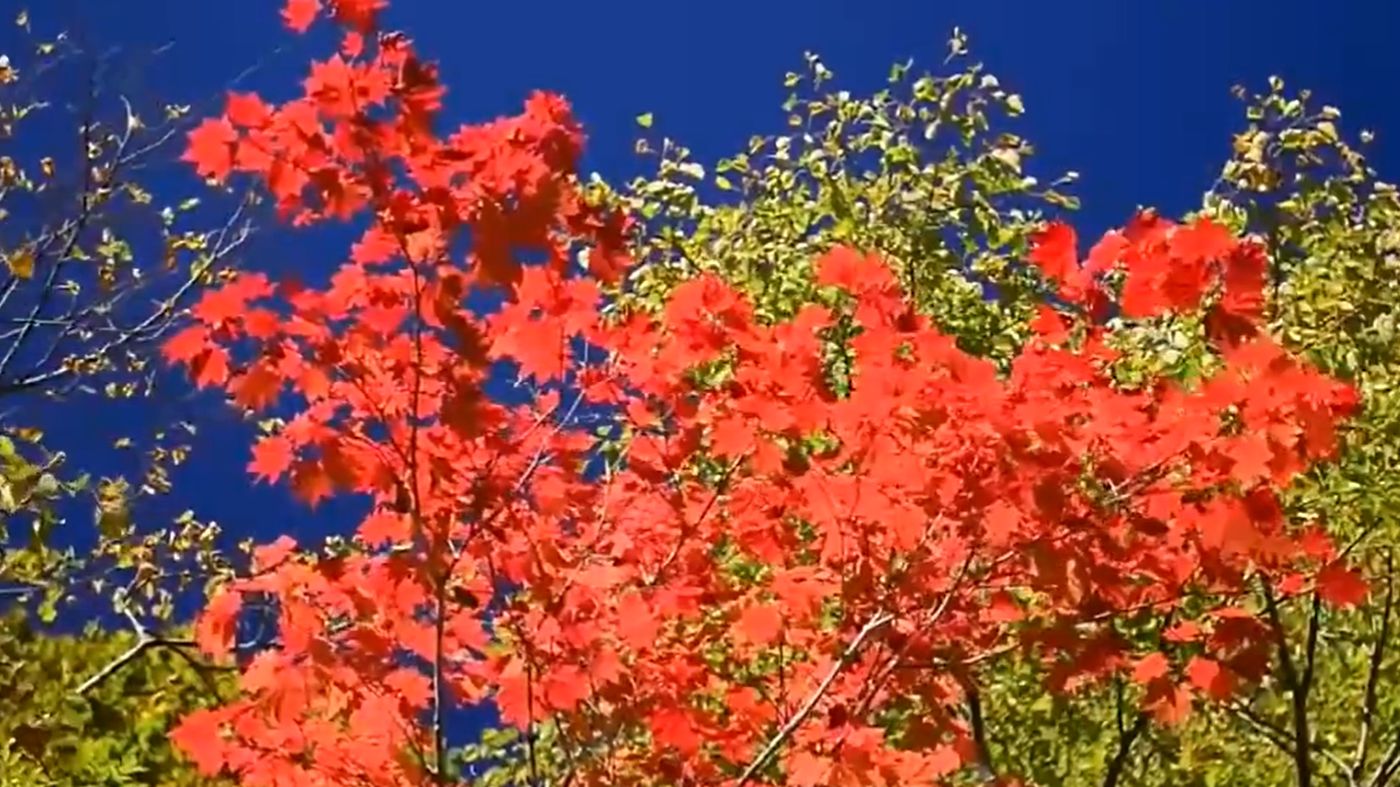 Красивая Атмосферная Инструментальная Музыка для души