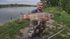 Такого бешеного клева я не ожидал. Рыбалка с ночевкой