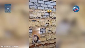 Семечки сыплются из стен: мышь с невероятными запасами обнаружили в Волгоградской области