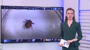 Вести-24. Башкортостан - 13.04.26