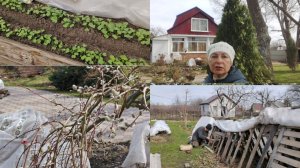 На даче! Работы и красоты.