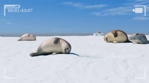 Silent Episodes Only  Watch This at Night SEALOOK Episodes Compilation