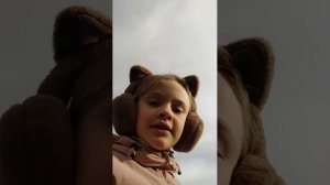 Котики захватили планету