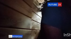 вести на прогулке итоговый выпуск от 12.04.2014 г.