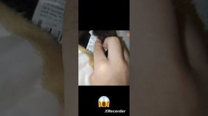 у моей кошки оторвалась шерсть продолжение в Мах канале ор код в конце видео