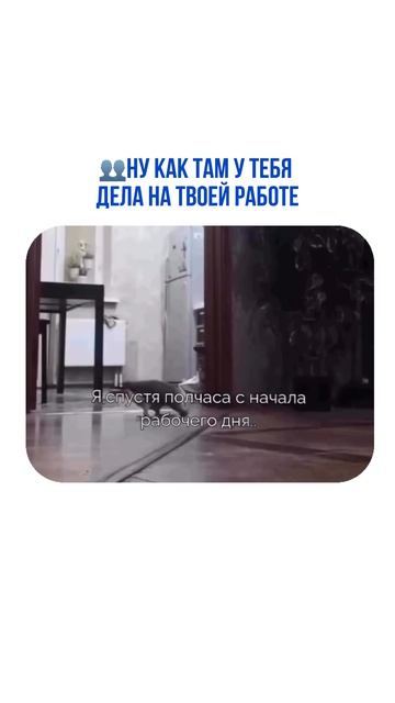 Не ну а че они тоже да 🤬