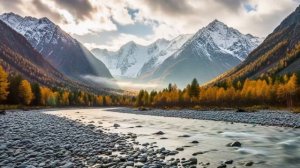 _ ДЕТСКИЙ ДАР _Интересная история из жизни