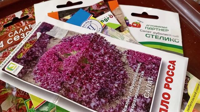 САЛАТЫ СЕЮ. СОРТА.