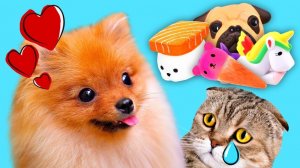 КисКис: Всё потеряли! Волшебные сквиши против обычных игрушек ✨🧸