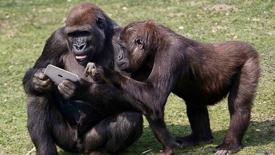 Постпасхальное наступление ВС РФ