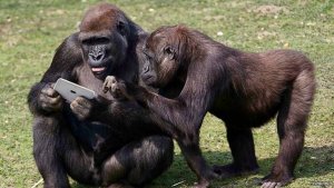 Постпасхальное наступление ВС РФ