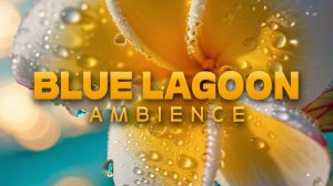 ✧ Голубая Лагуна |  Фоновая музыка для учебы, работы и отдыха