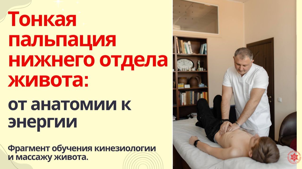 Тонкая пальпация нижнего отдела живота: от анатомии к энергии. Фрагмент обучения