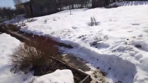 Жизнь пенсионеров.