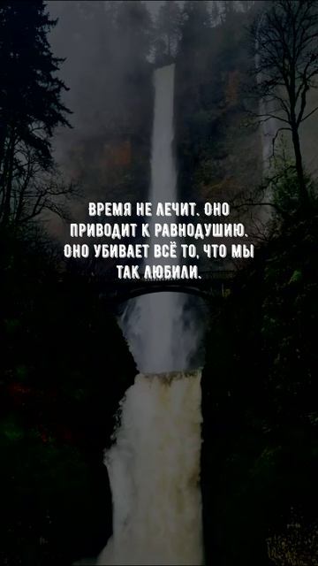 #1047 Цитата дня. Мотивация.