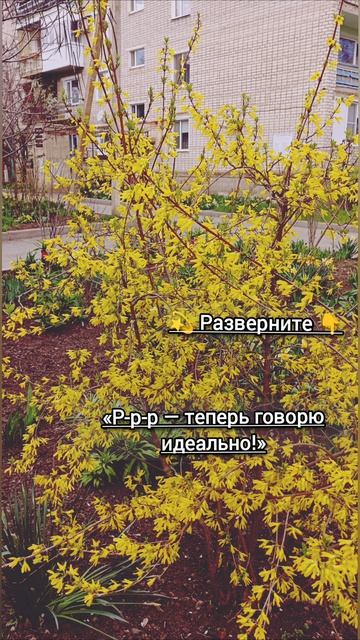 Упражнения Как избавиться от картавости взрослому и подростку