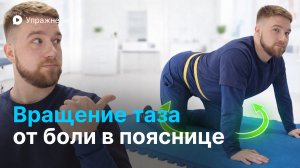 Упражнение: вращение таза от боли в пояснице