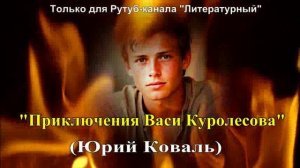 Художественный пересказ повести Ю. Коваля «Приключения Васи Куролесова»