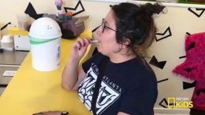 Cool Facts About Ice Cream Things You Wanna Know [get.gt]