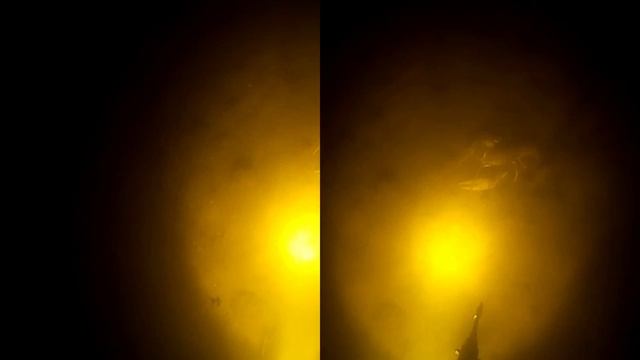 Космический мутняк VR