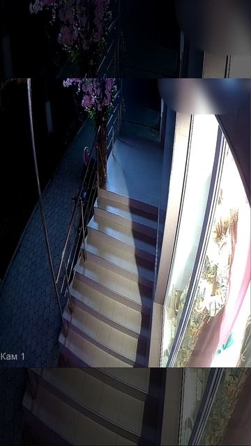 В Армавире полиция разыскивает подозреваемую в краже девушку