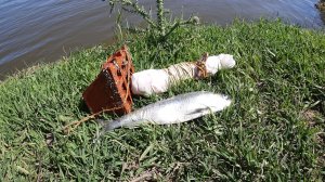 СЕЛЕДКА НА РЕЗИНКУ! Ход Астраханской селедки! Ловля Каспийской селедки!