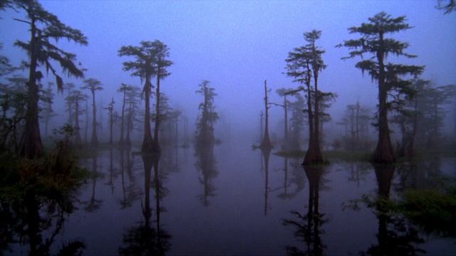 Misty Liminal Spaces ⧸⧸ Deep Ambient For Solitude