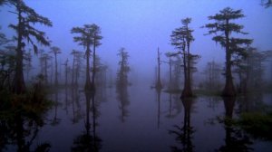 misty liminal spaces ⧸⧸ deep ambient for solitude