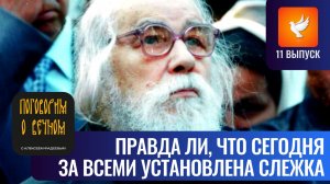 Говорят, что теперь за каждым установлена слежка, а печать антихриста уже нанесена? Старец дал ответ