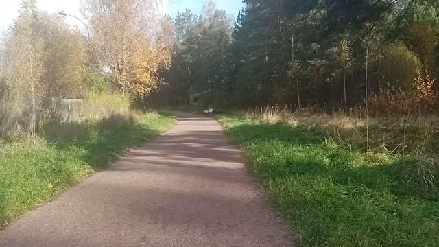 2025   год .   Парк👏 21:28