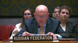 ‼⚡Небензя - о профнепригодности европейских лидеров