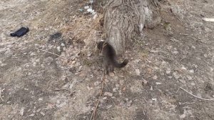 Маленько подморозило.