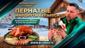 Пернатые маршруты Беларуси. Где увидеть экзотических фазанов и попробовать утку по-пекински?
