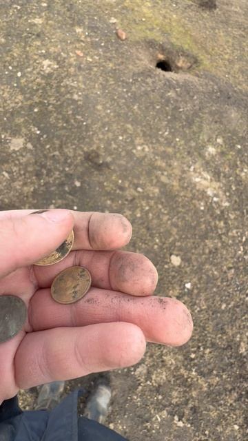 Вы уже находили монеты в новом сезоне?