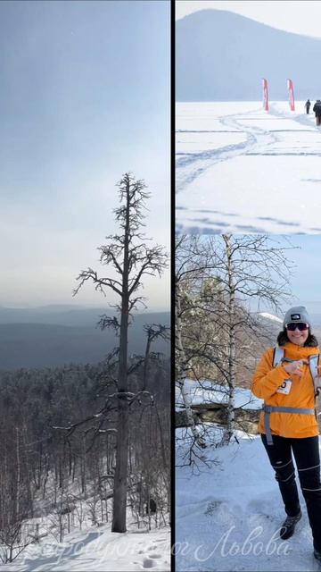 Небольшая история из моей жизни