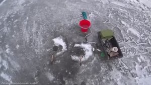 ПОПАЛ ПОД КОСЯК! ЗИМНЯЯ РЫБАЛКА НА ГУСТЕРУ. Ловля белой рыбы, густера (тарашка). Рыбалка со льда!
