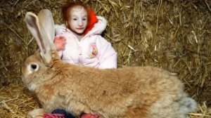 Самый маленький человек на земле!! 😱