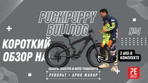 Фэтбайк с 2 АКБ в раме | Рассказываем о Puckipuppy Bulldog