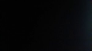 Дискотека taco's