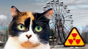 SlivkiShow в ЧЕРНОБЫЛЕ!